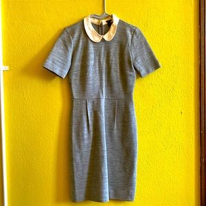 J.Crew Gray Dress with White Colar